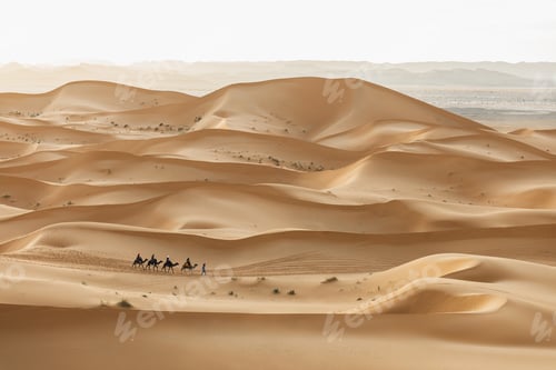 Preview: Camel caravan group in desert sand dunes in Morocco, Sahara. Beautiful sunset in pastel color