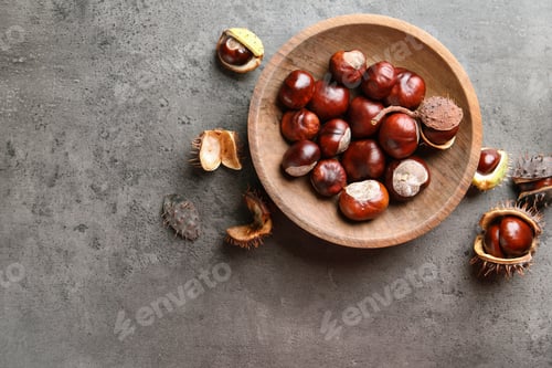 Preview: Horse chestnuts in wooden plate on grey table, flat lay. Space for text