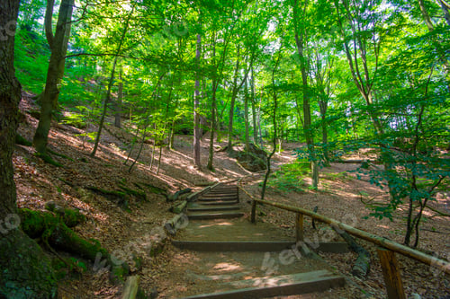 Preview: nature view of Saxon Switzerland National Park, Germany