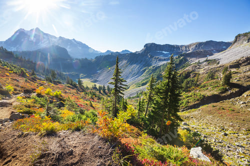 Preview: Mt Baker Area