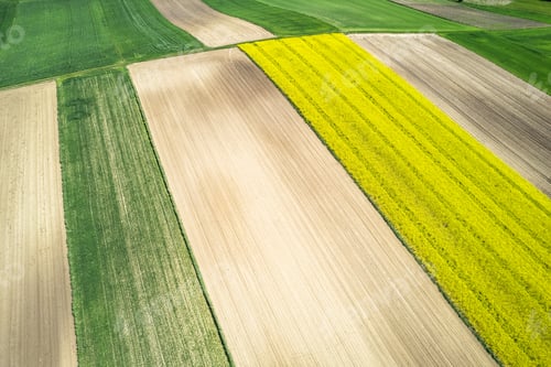 Preview: Colorful Farmland and Scenic Countryside. Aerial Drone view