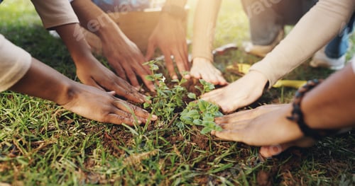 Preview: Nature, soil and hands of people with plant for growth, sustainability and eco friendly charity out