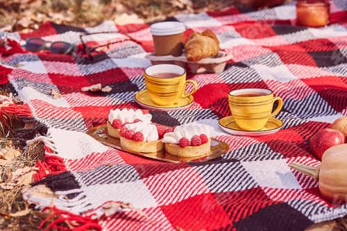 Preview: Autumn picnic ideas in the park with tea cups, tarts, coffee on the plaid for two. Cozy autumn food