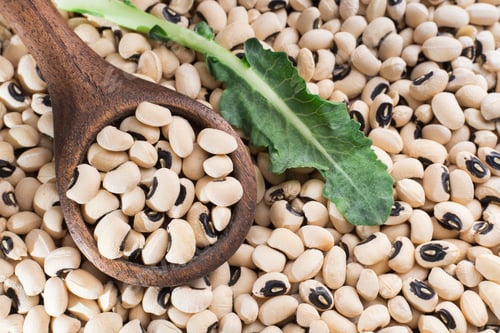 Preview: Black-headed beans, Vigna unguiculata