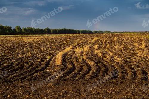 Preview: Plowed field after harvesting grain
