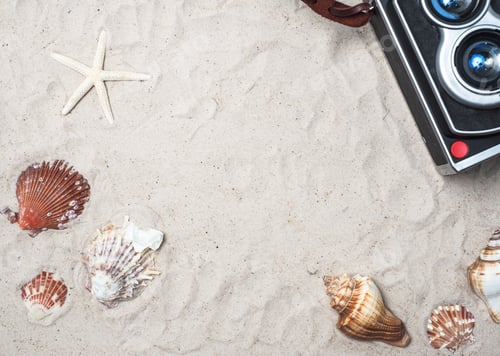 Preview: SUMMER BEACH TOP VIEW