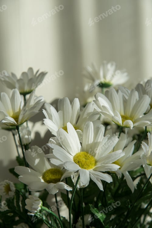 Preview: Bouquet of white chrysanthemums