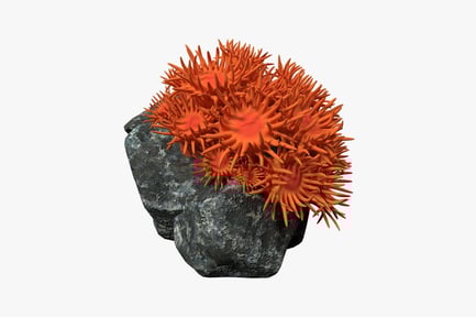 Vista previa: Roca con crecimiento puntiagudo en forma de estrella