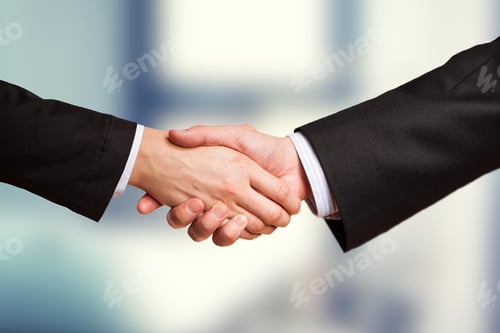 Preview: handshake, successful, congratulating, shaking