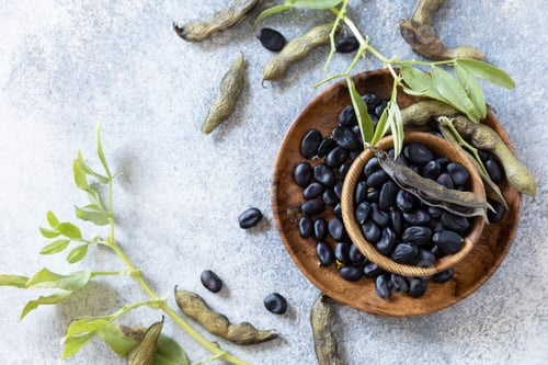 Preview: Fresh ripe black soy beans on a stone background.