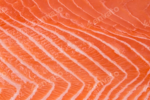 Preview: Close up of salmon fillet.