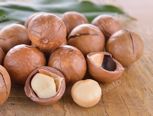 Preview: Macadamia nut