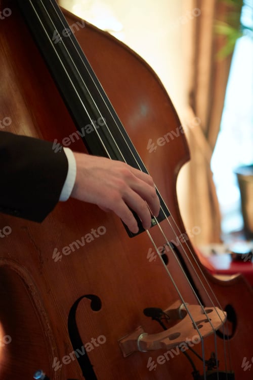 Preview: Vertical closeup photo of a man's hand playing double bass