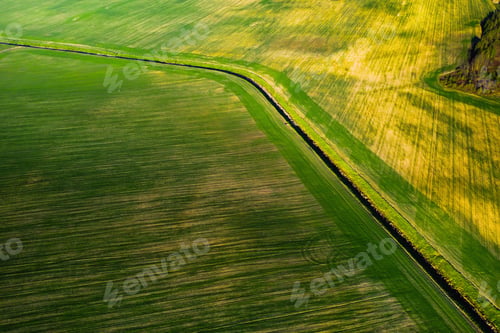 Preview: Bird's-eye view of a green field .Sowing campaign in Belarus.Nature Of Belarus.Own green field
