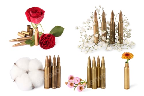 Preview: Set of bullets and beautiful flowers isolated on white
