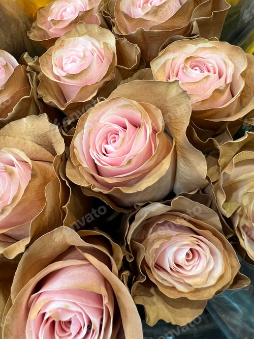 Preview: beautiful roses in an arrangement