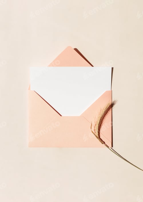 Preview: Blank white card for letter in peach color envelope and dry spikelet on beige background