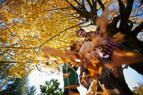 Preview: Family playing in forest, throwing leaves
