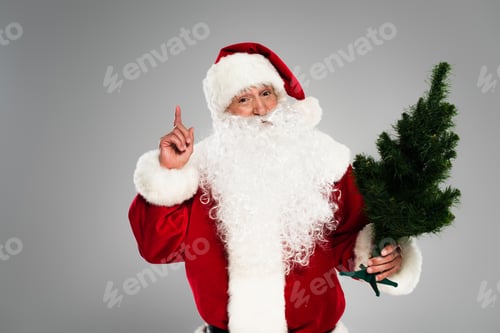 Preview: Santa claus in costume holding small spruce tree while having idea isolated on grey