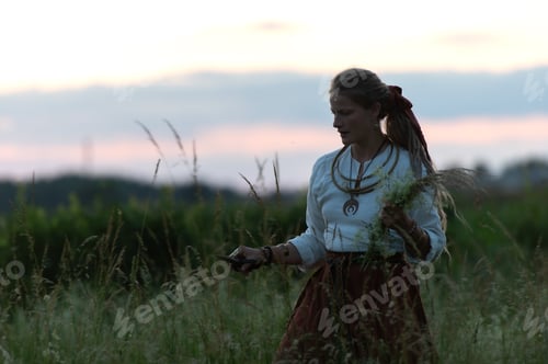 Preview: Midsummer celebration countryside- woman wearing national costume collect medicinal plants on field