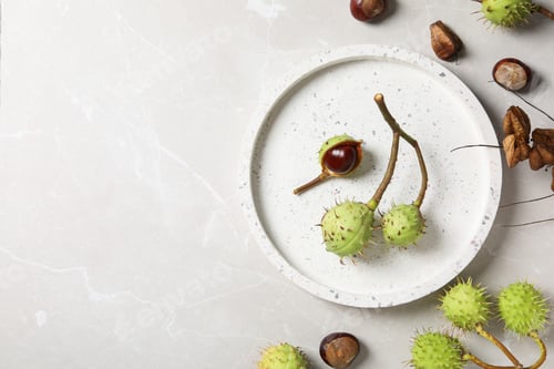 Preview: Fresh and ripe chestnuts, space for text