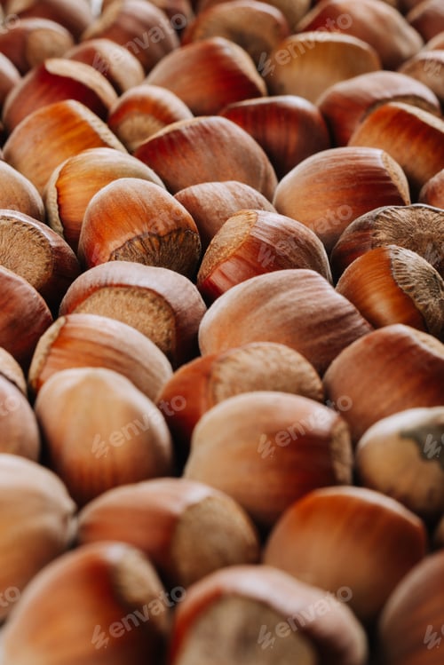 Preview: Closeup of some unopened hazelnuts