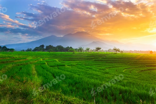 Preview: beautiful morning view from Indonesia of mountains and tropical forest