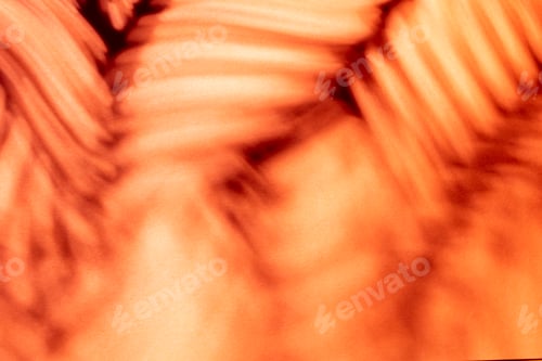 Preview: Palm leaves and shadows on a color wall background.