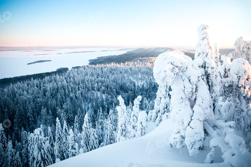 Preview: Scenic winter view of trees covered with snow
