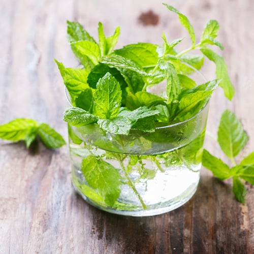 Preview: Green fresh mint on the wooden table
