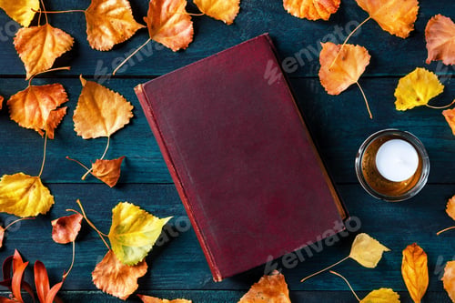 Preview: book, mockup, cover, textbook, realistic