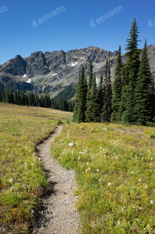 Preview: Alpine meadows of the Pacific Crest Trail