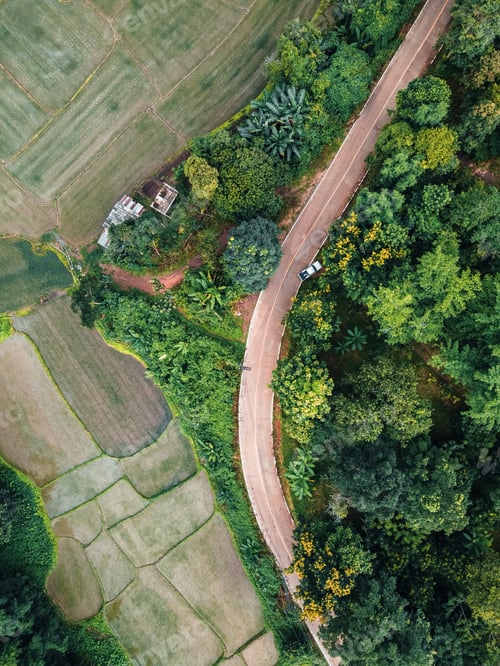 Preview: The road to the farmland and fields in the green forest.