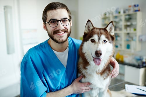 Preview: Vet and pet