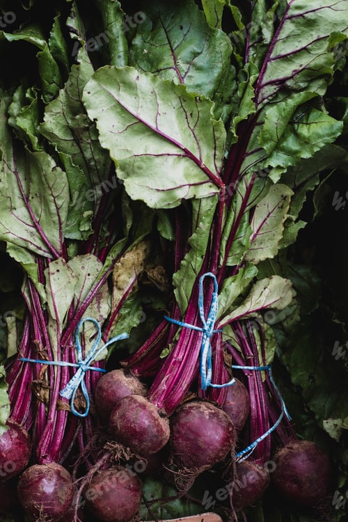 Preview: High angle close up of bunches of freshly picked beetroot.