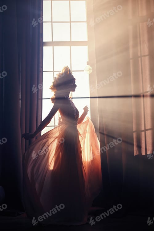 Preview: Silhouette of a mysterious fairy woman on the background of the window in the sunlight