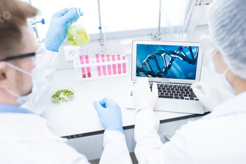 Preview: Two Scientists doing Research