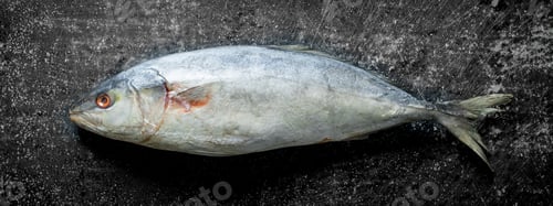 Preview: Fresh raw fish.