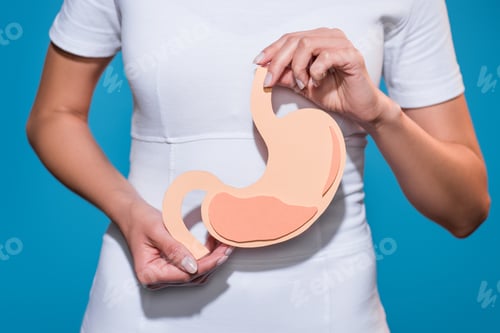 Preview: cropped shot of woman holding paper crafted stomach in hands on blue background