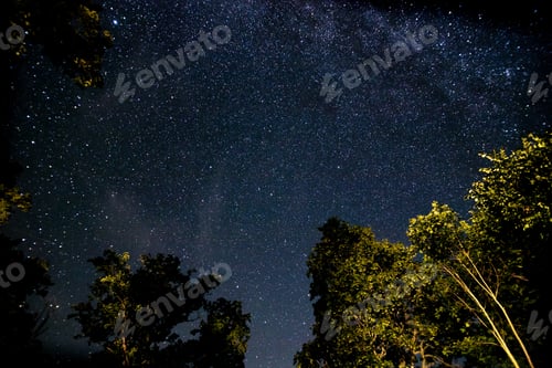 Preview: Beautiful shot of trees against a starry galaxy sky -perfect for wallpapers