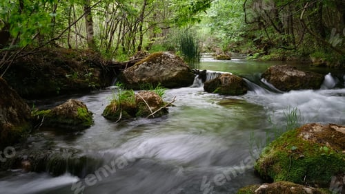 Preview: Full-flowing river in a green sunny forest.