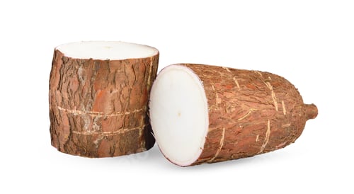 Preview: Cassava isolated on white background