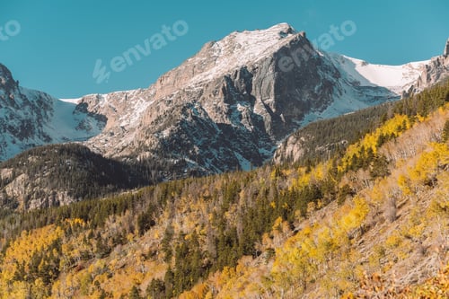 Preview: Aspen grove at autumn in Rocky Mountains