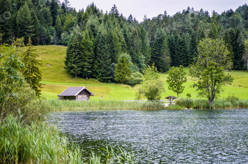 Preview: Small cottage among trees and along the lake