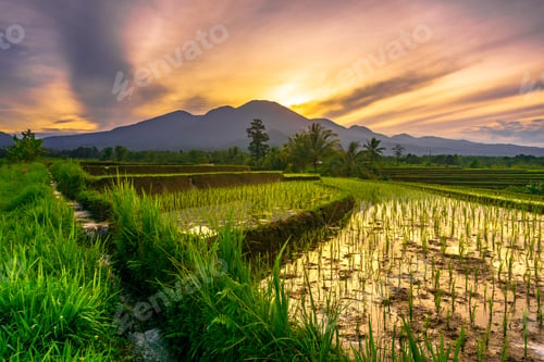 Preview: Beautiful morning view indonesia Panorama Landscape with beauty color