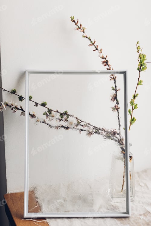 Preview: Cherry blooming branch in vase behind glass with water drops
