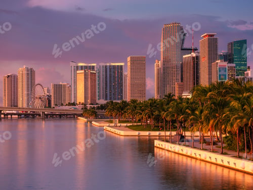 Preview: Miami Skyline at sunset