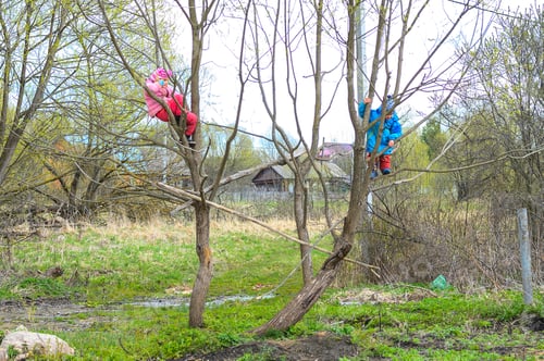 Preview: two kids climb trees in the village in the spring