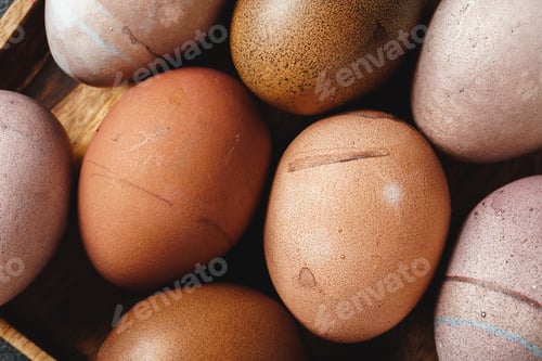 Preview: Easter eggs on a dark background