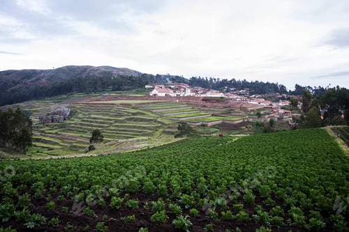 Preview: Agricultural terraces in Cusco